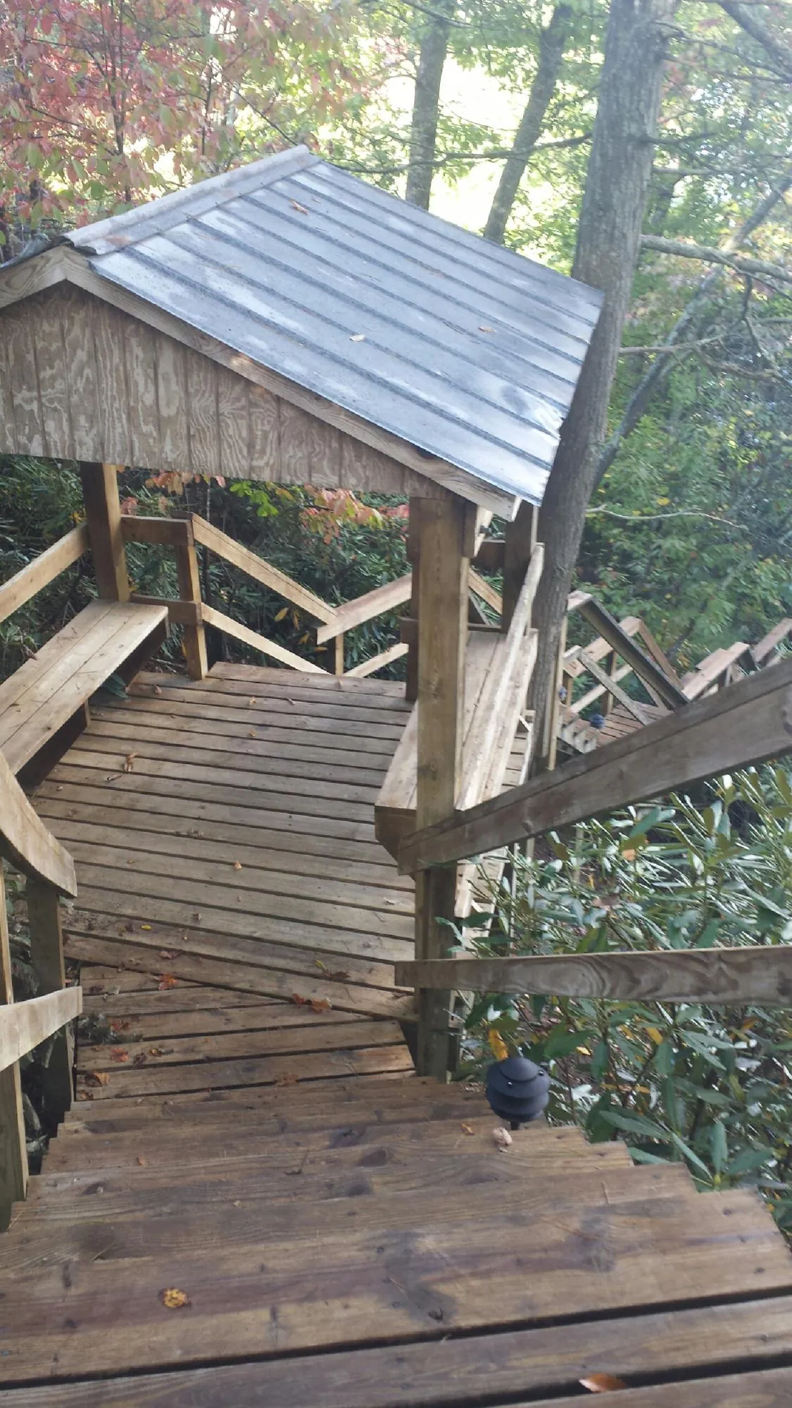 Metal roofed shelter over wooden steps on a wooded walkway — Skylight Repair & Installation work by our crew in Ben Lomond