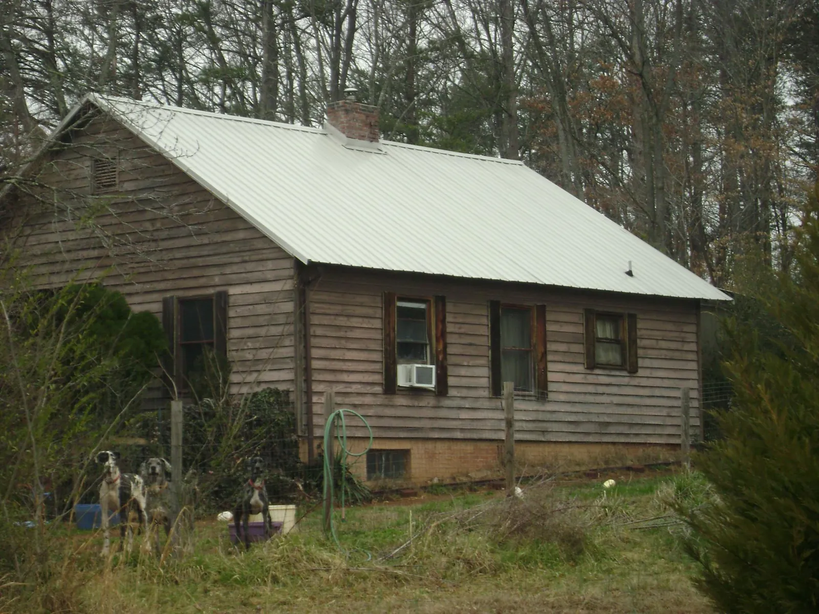 White metal roof on an old wood sided farmhouse, from a Metal Roof Installation job in Ben Lomond